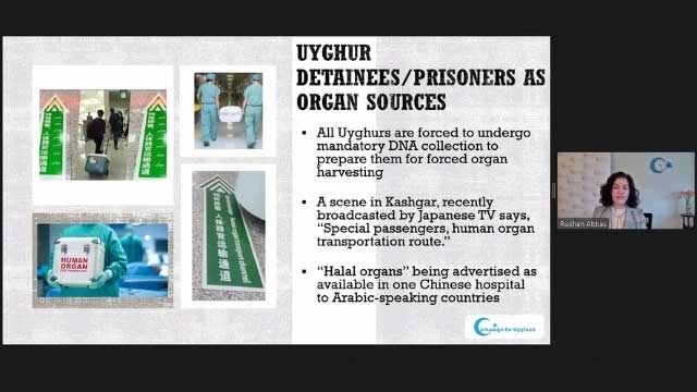 Rushan Abbas speaking at the Webinar