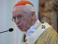 Cardinal Jozef De Kesel