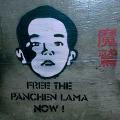 Panchen Lama, Gedhun Choekyi Nyima