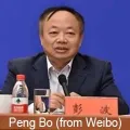 Peng Bo