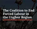 Coalition to End Forced Labour in the Uyghur Region